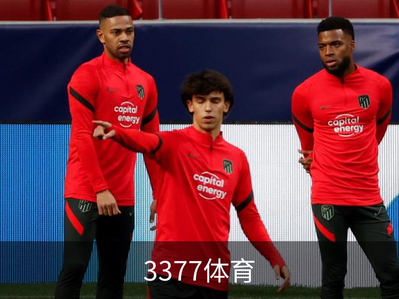 了解3377体育
